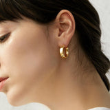 Addison Shiny Metal Hoop Earrings
